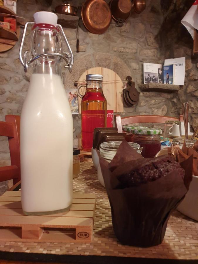 Le Casite Bed & Breakfast Trieste Esterno foto