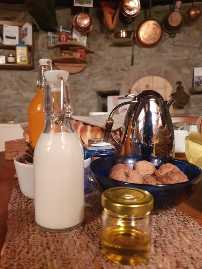 Le Casite Bed & Breakfast Trieste Esterno foto